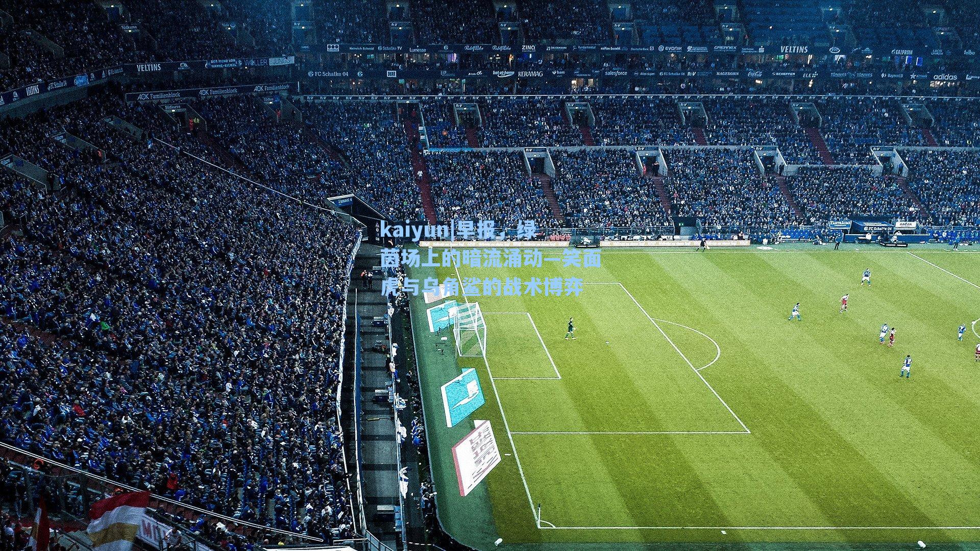 早报,绿茵场上的暗流涌动—笑面虎与乌角鲨的战术博弈